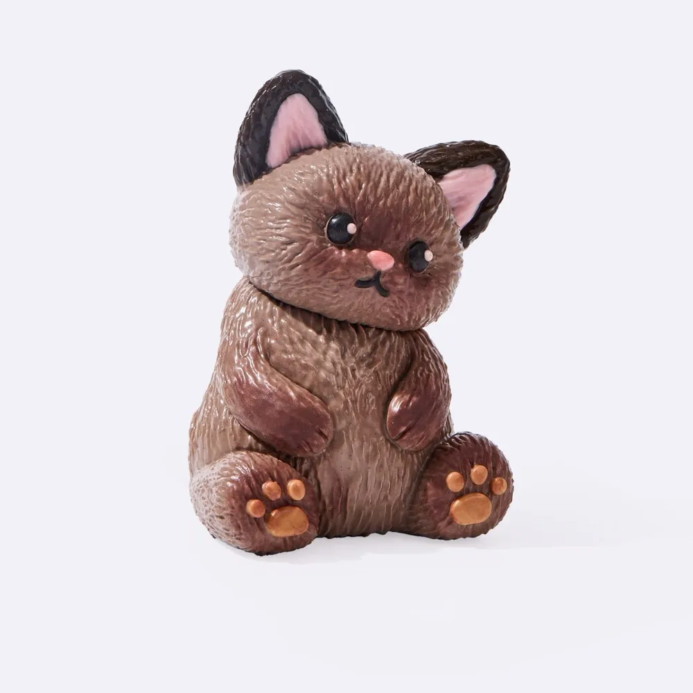 Brown Siamese Cat