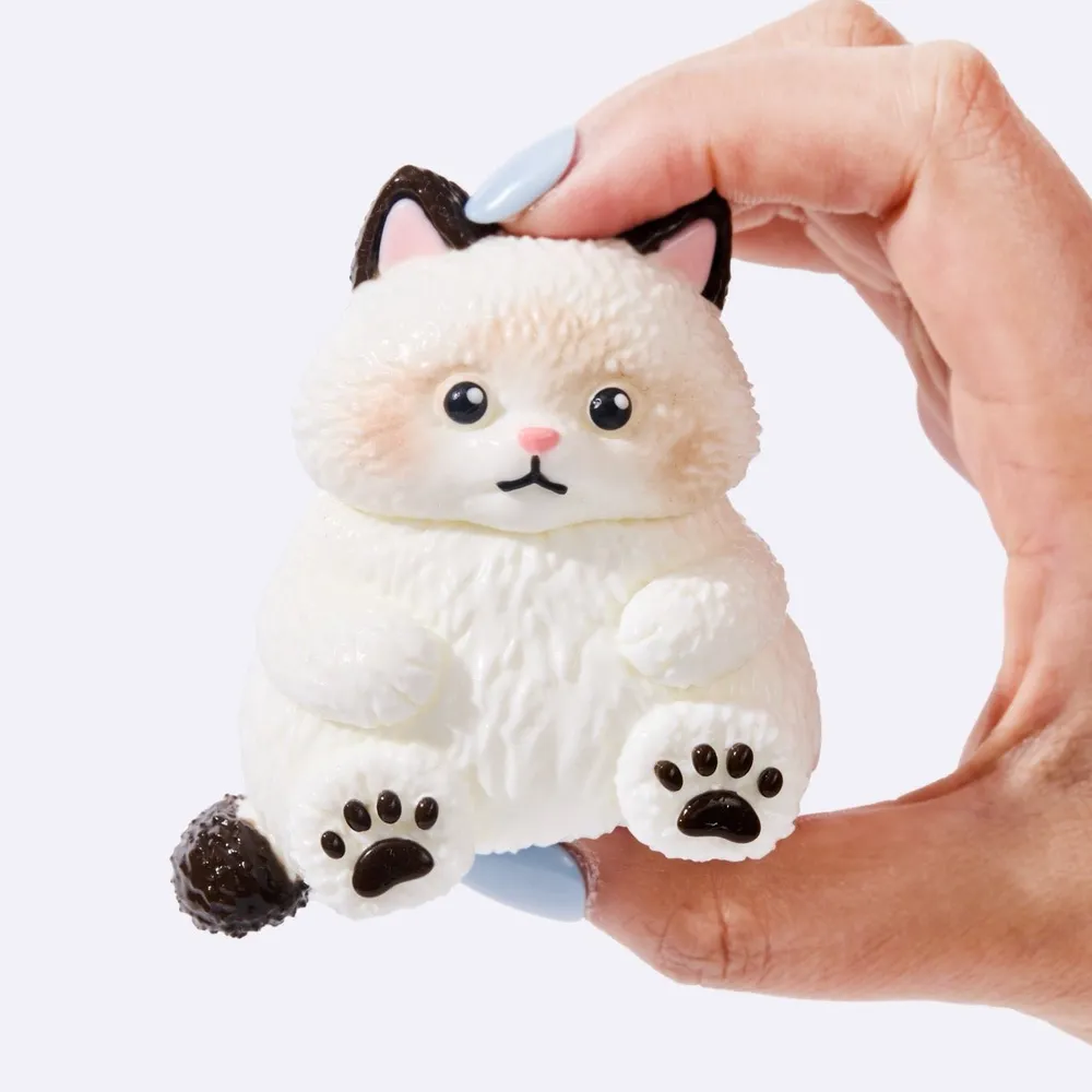 Chubby White Ragdoll Cat — photo 4