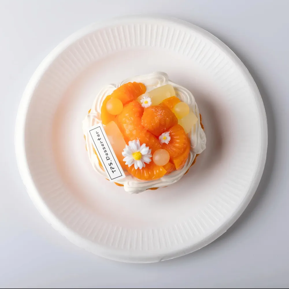 【CT009】Orange Tart Squishy Toy — photo 2