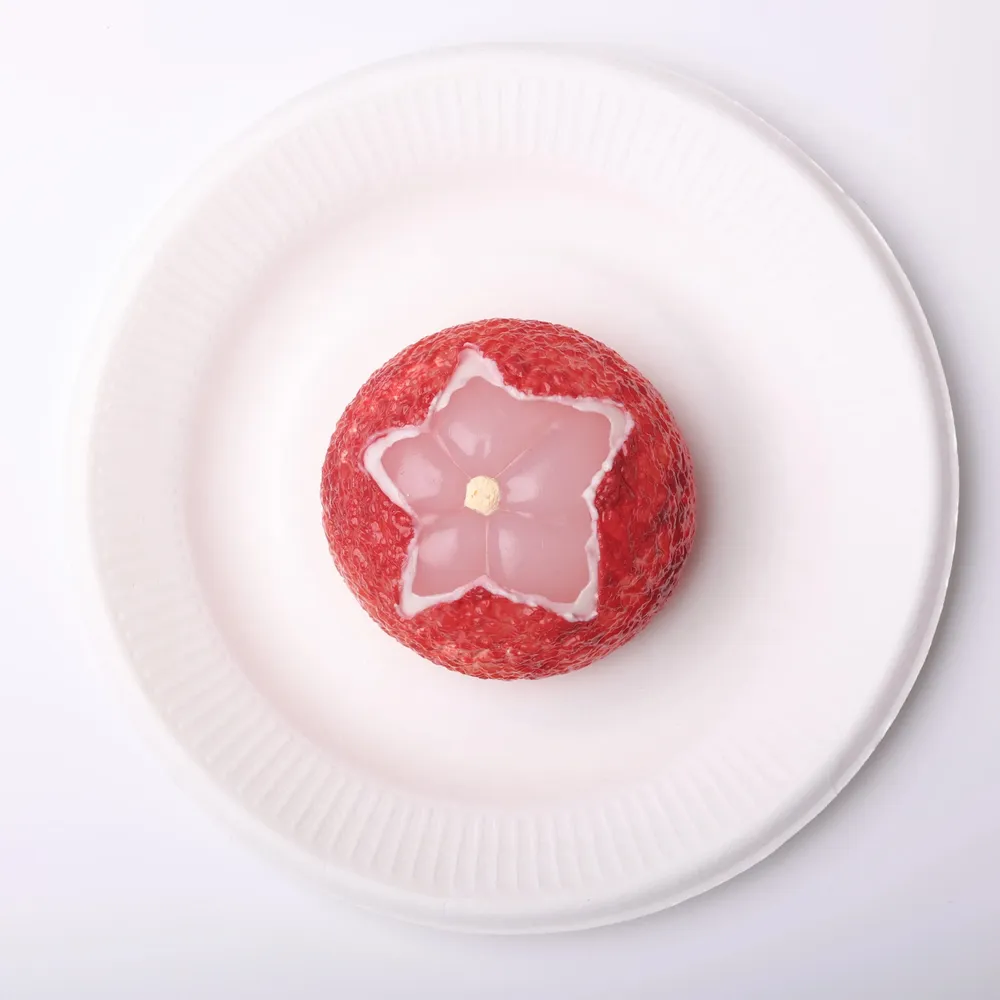 【CT119】Lychee Squishy Toy — photo 2