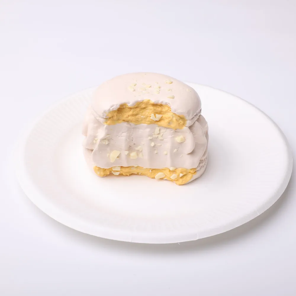 【CT195】Oat Macaron Squishy Toy — photo 2