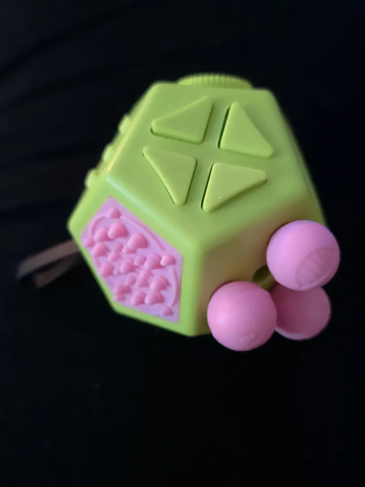 Dodecagon 12-Sided Multi Fidget Toy