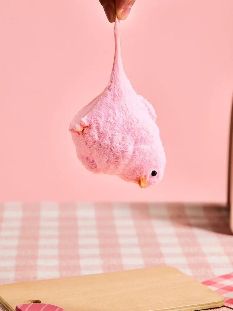 Floced Pink Chick Taba Squishy — photo 3