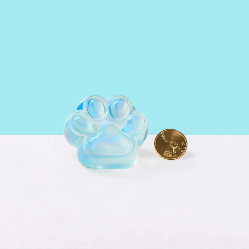 Glitter Blue Paw Taba Squishy — photo 2