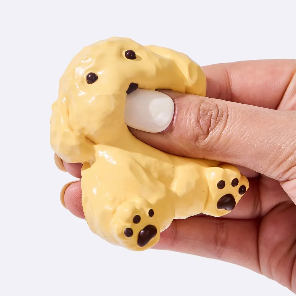 Golden Retriever — photo 2