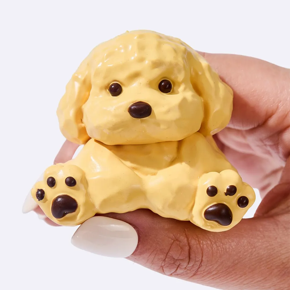 Golden Retriever — photo 4