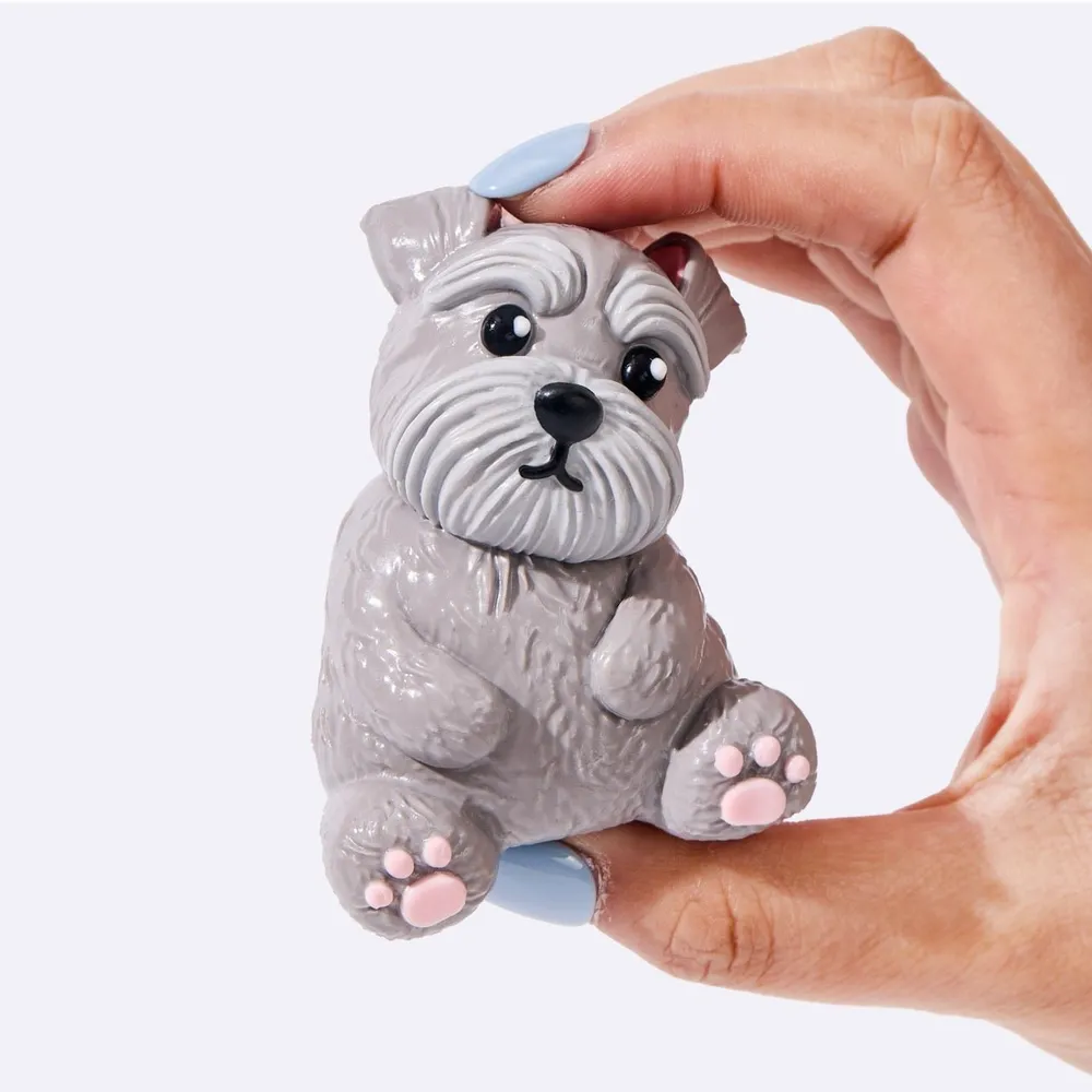 Grey Schnauzer — photo 4