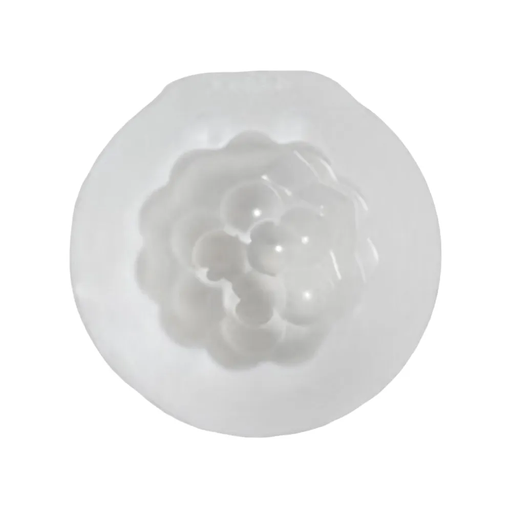 JC Grapes Mold Silicone Squishy Mold — photo 2