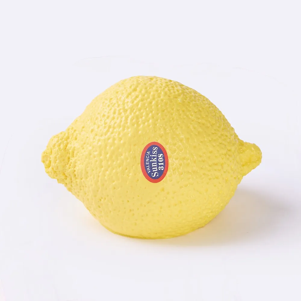 Lemon Taba Squishy