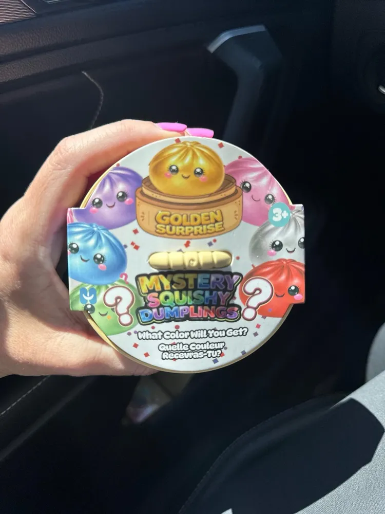 Mystery Squishy Dumpling