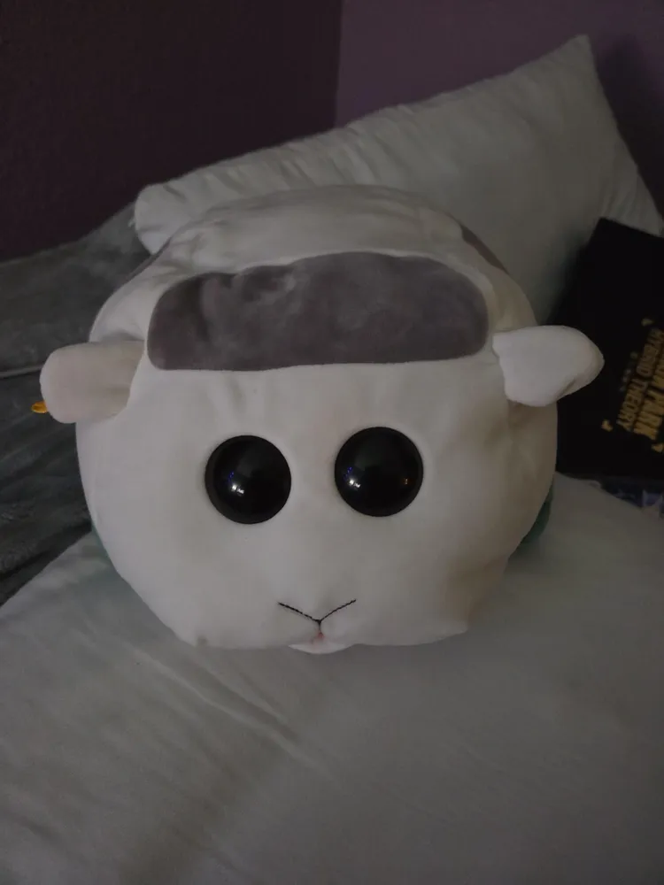 Pui Pui Molcar Shiromo Plush