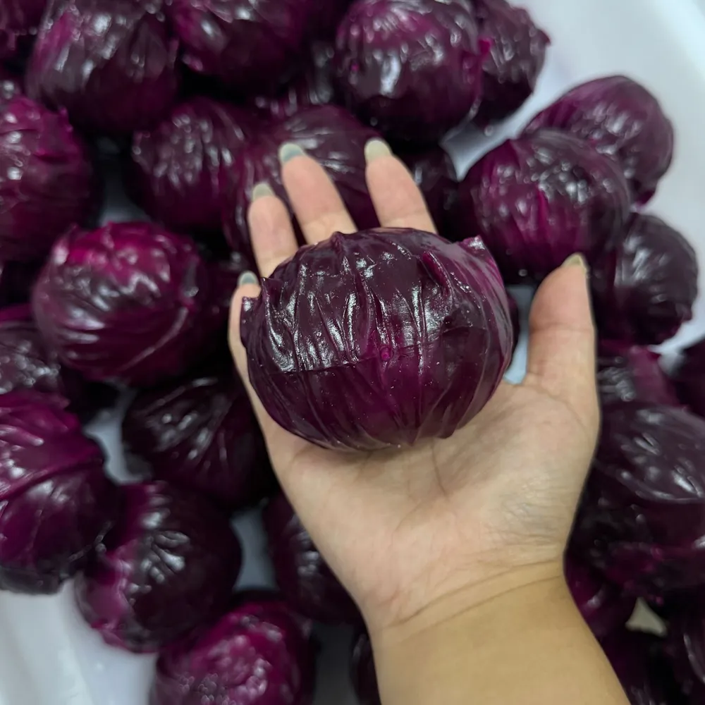 Purple Cabbage Blacks Stress Ball Squishy Stress Relief Decompression Toy — photo 3