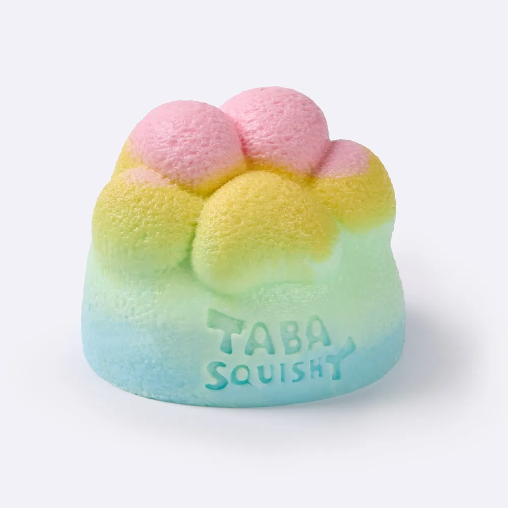 Rainbow Cat Paw Taba Squishy