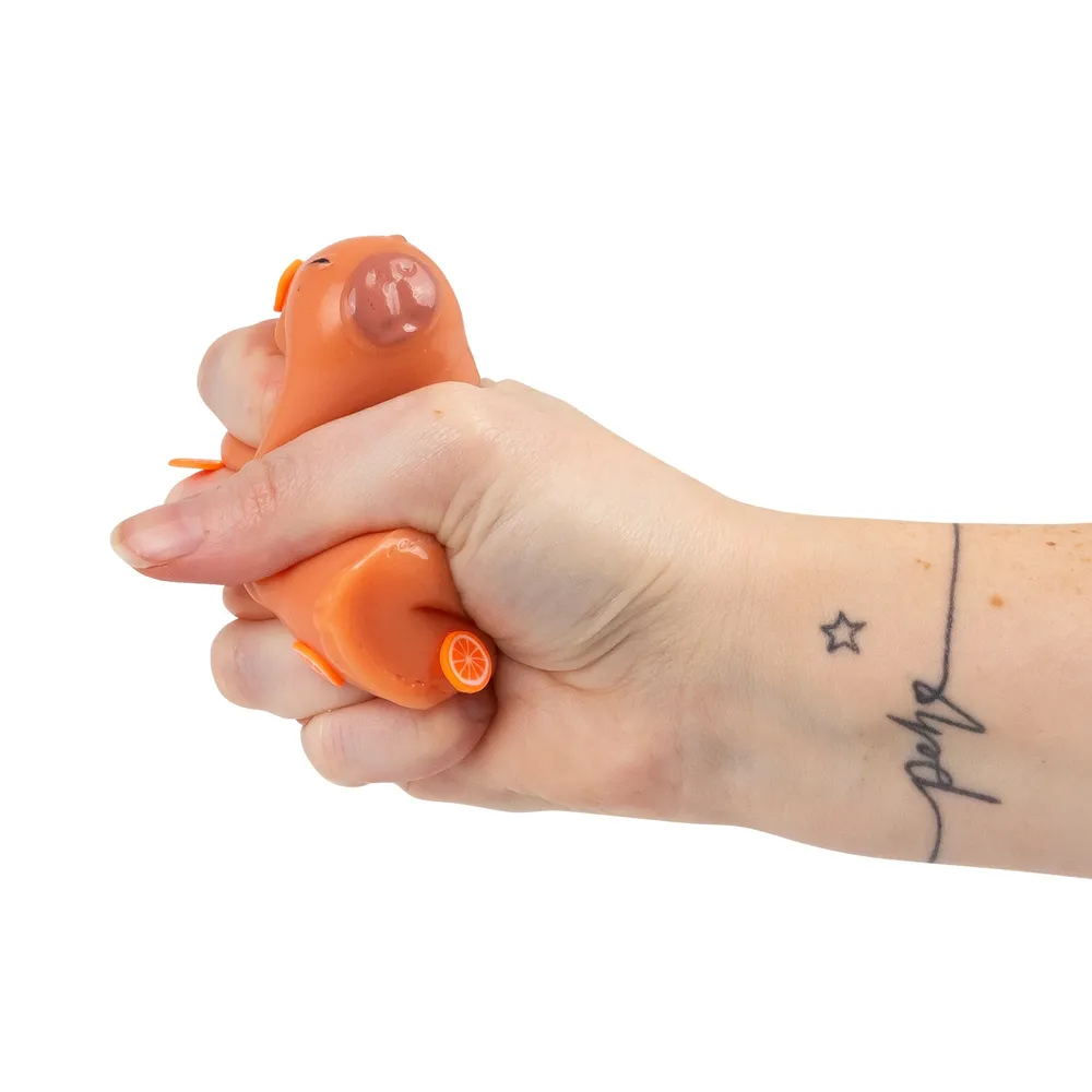 Scrunchems Sticky Squishy Capybara Fidget Toy — photo 6
