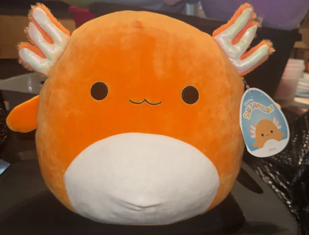 Squishmallows Plush Toys | Nico The Orange Axolotl | 8" Size — photo 3