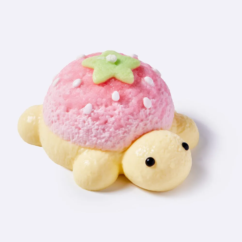 Strawberry Turtle