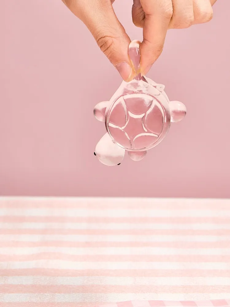 Transparent Turtle Taba Squishy — photo 3