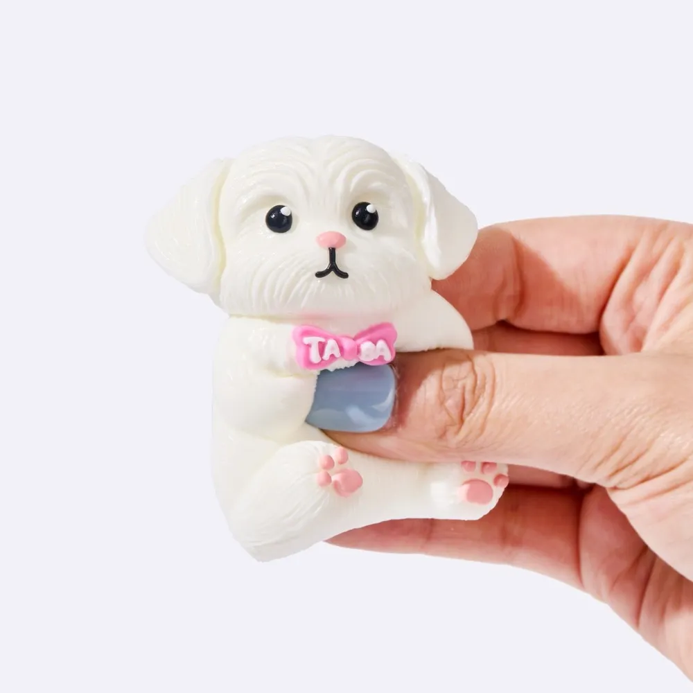 White Maltese — photo 3