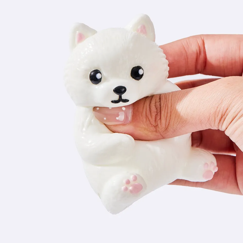 White Pomeranian — photo 2