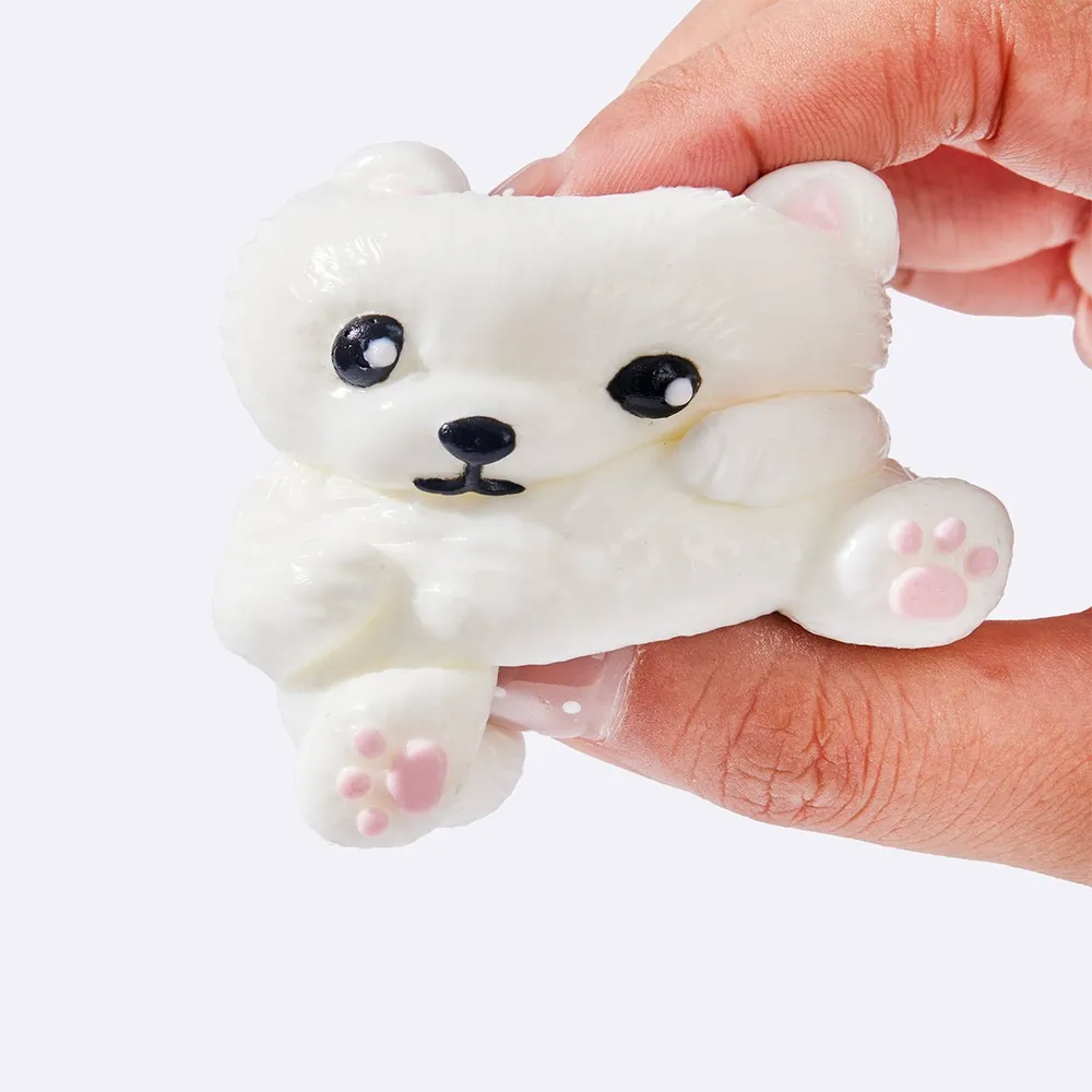 White Pomeranian — photo 3