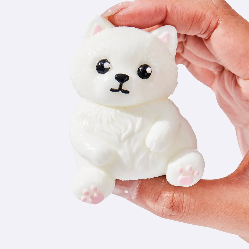 White Pomeranian — photo 4