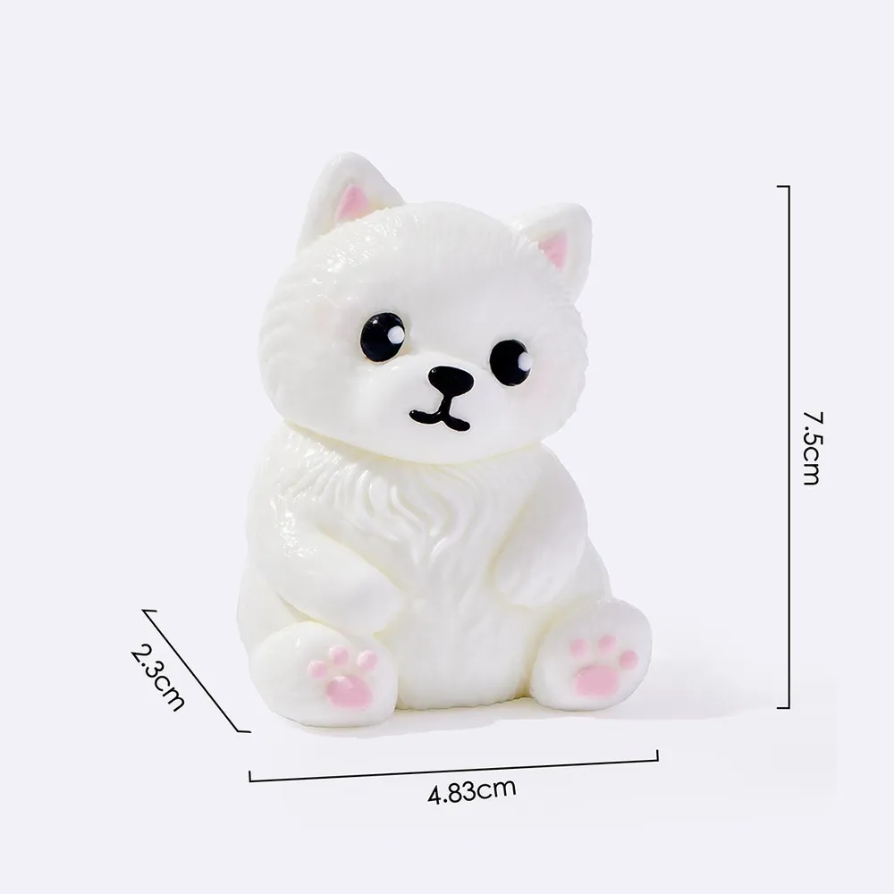 White Pomeranian — photo 5