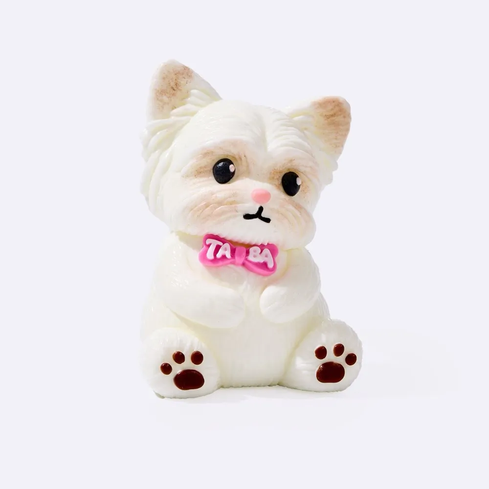 White Yorkshire Terrier
