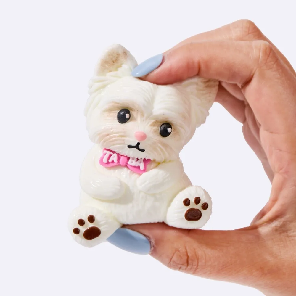 White Yorkshire Terrier — photo 2
