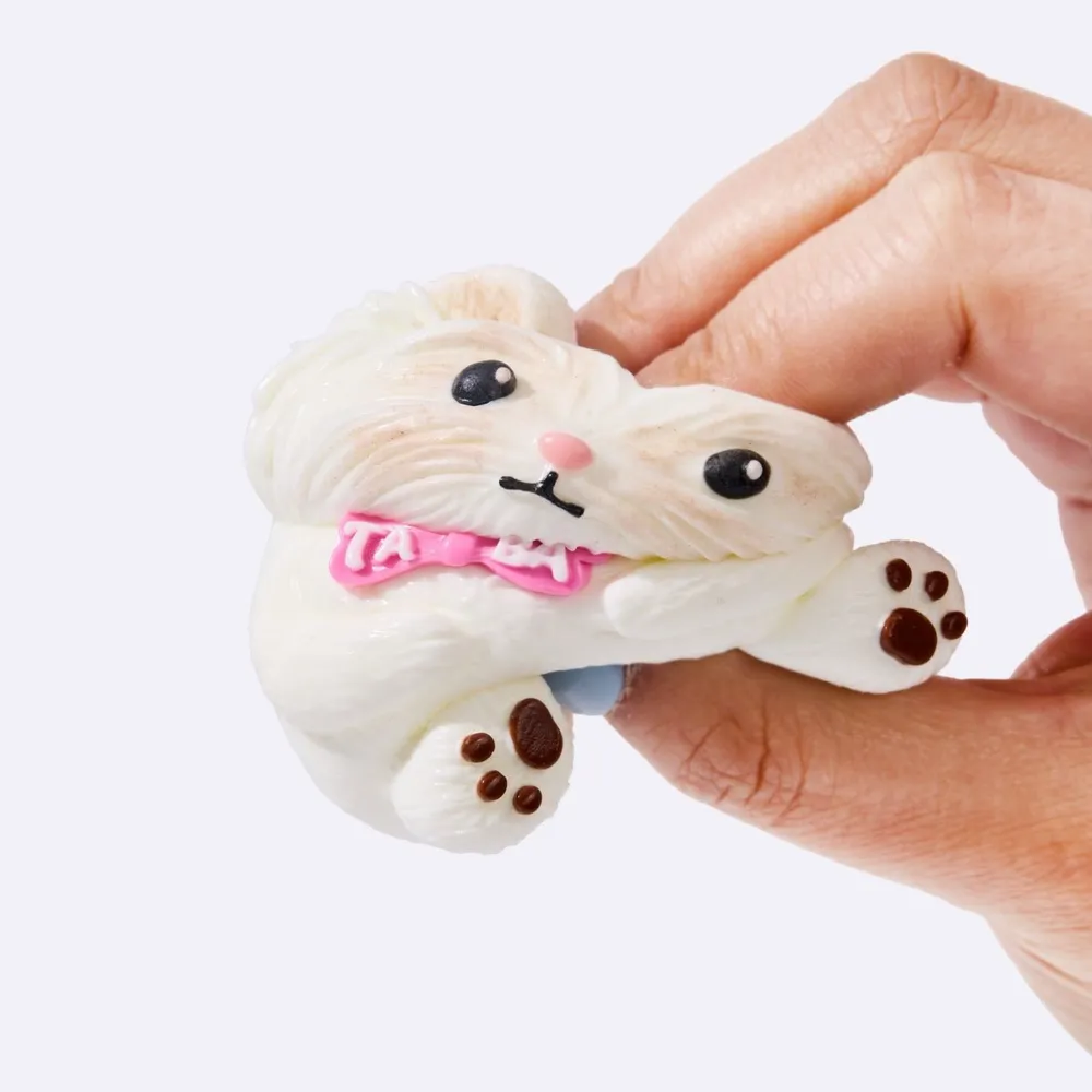 White Yorkshire Terrier — photo 3