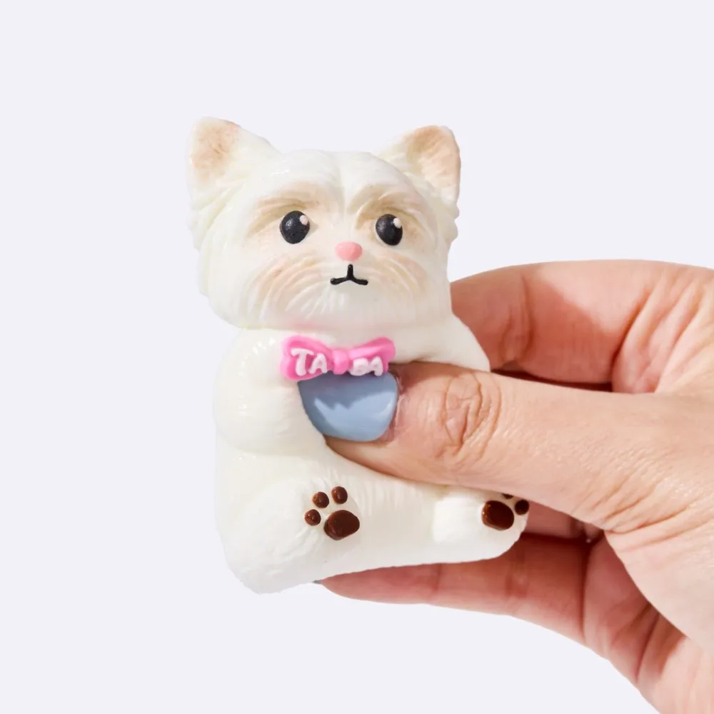 White Yorkshire Terrier — photo 4