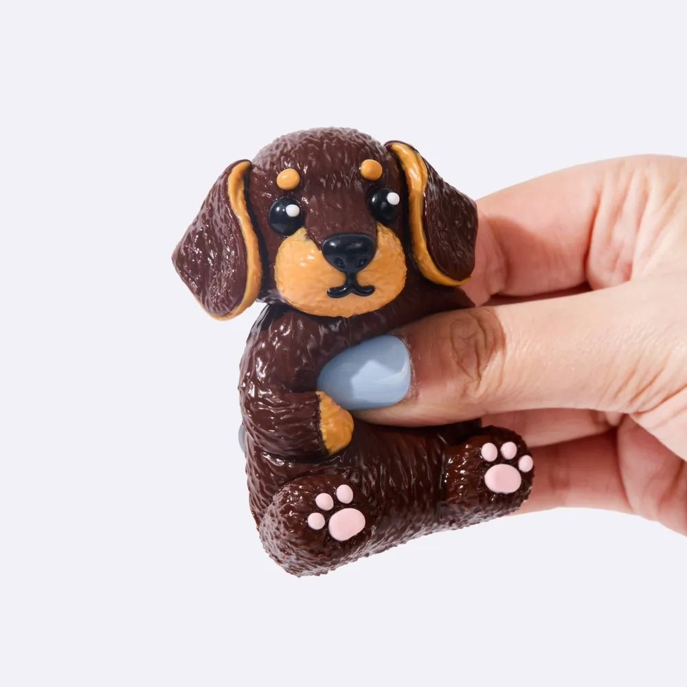 Wiener dog — photo 3