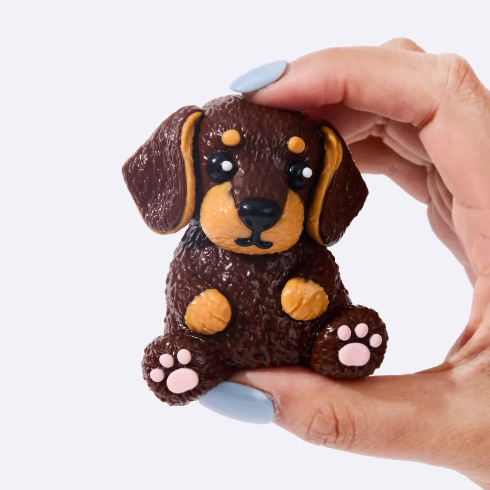Wiener dog — photo 4